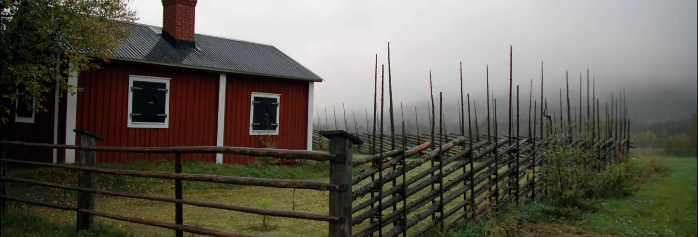 hudiksvall_blaxåsbonnys.JPG