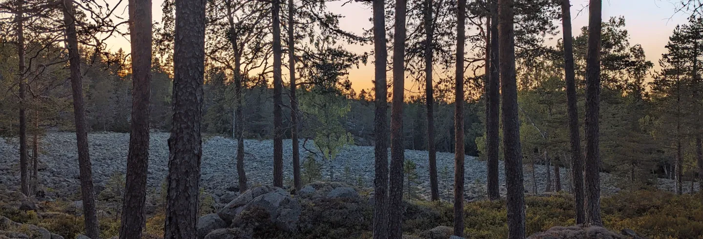 3 Åsar Vandringsled