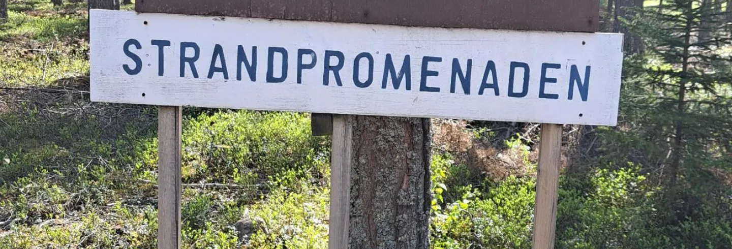 Hus i Friggesund uthyres