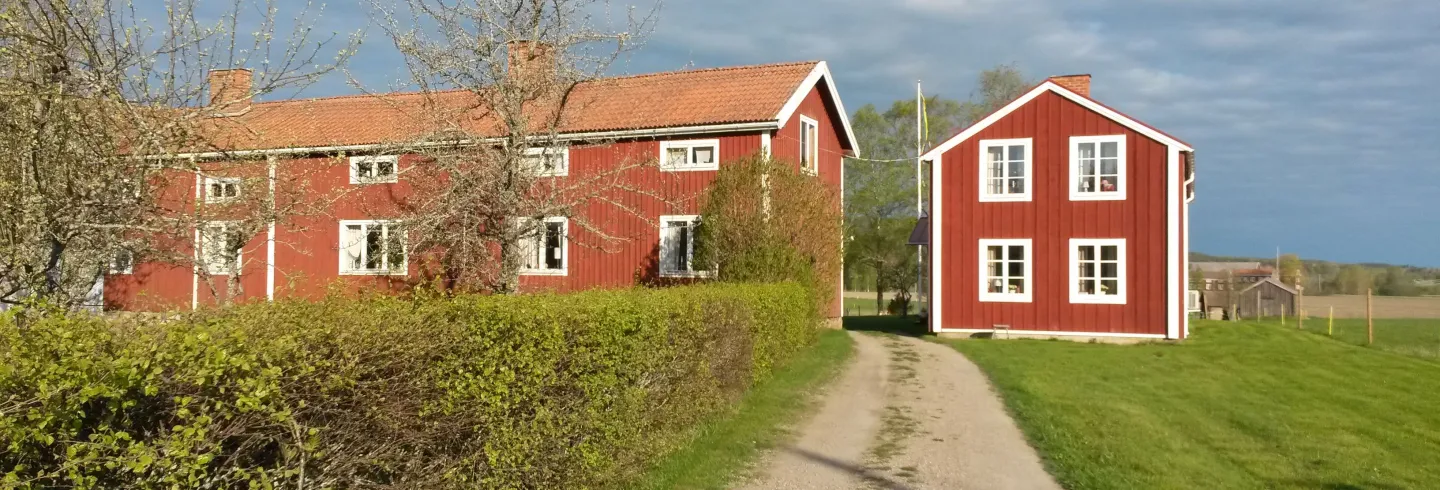 Bo på lantgård i Hälsingland, Hälsingegård