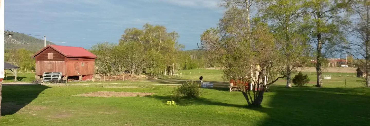 Bo på lantgård i Hälsingland, Hälsingegård