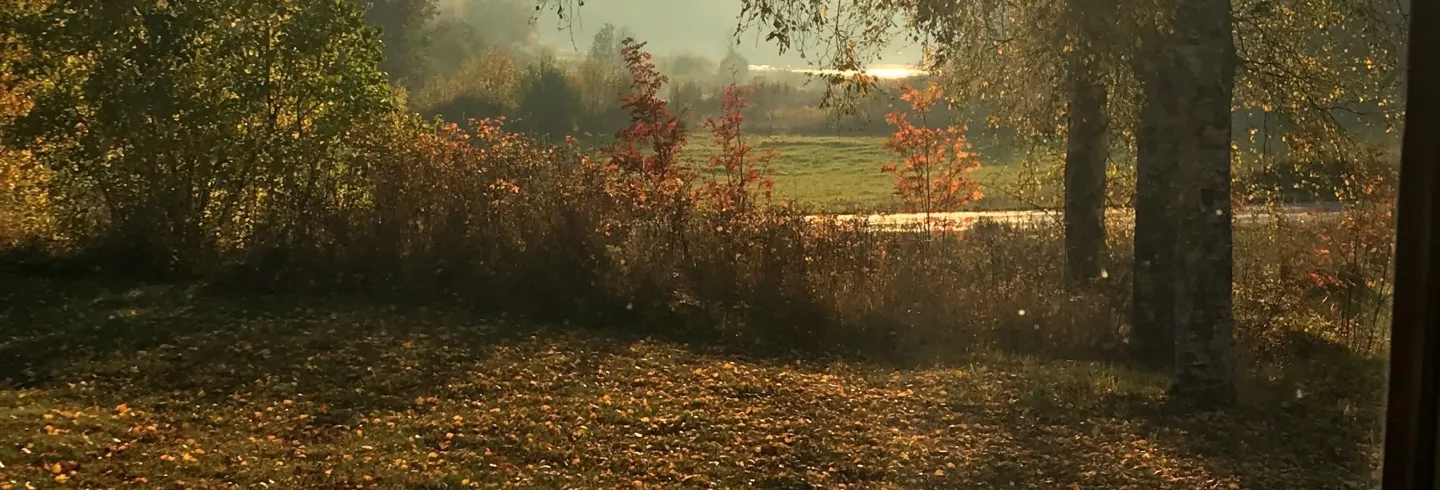Arnöviken 41