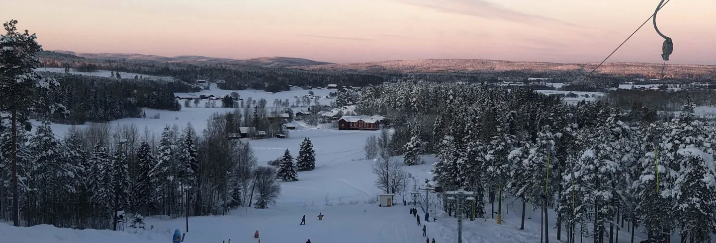 Hedebacken
