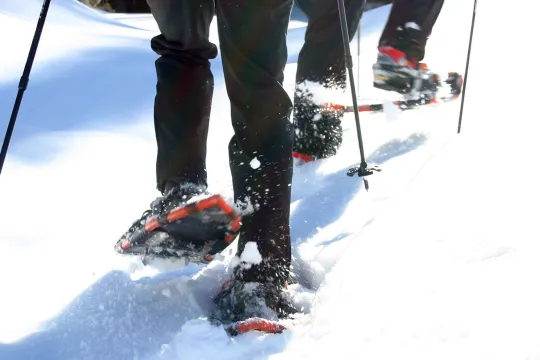 Guidad snöskovandring