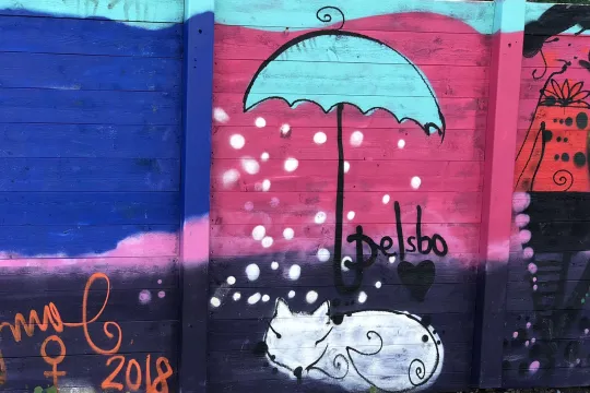 Björkparkens aktivitetspark