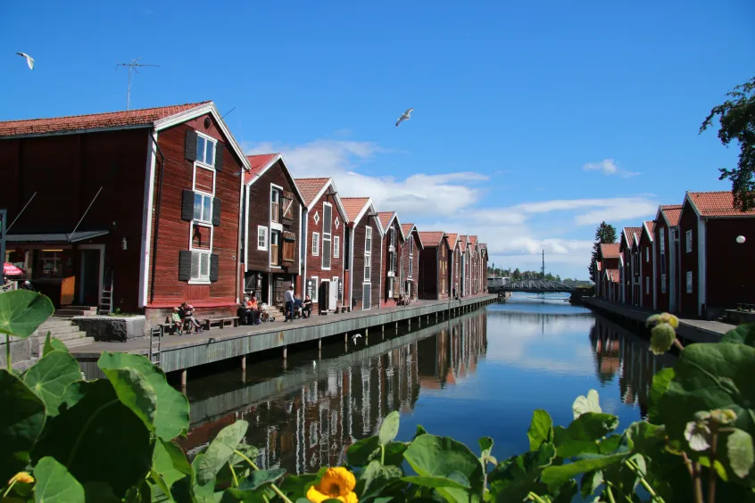 Sjöbodarna på Möljen en sommardag. Blommor i förgrunden och spegelblankt vatten i kanalen.