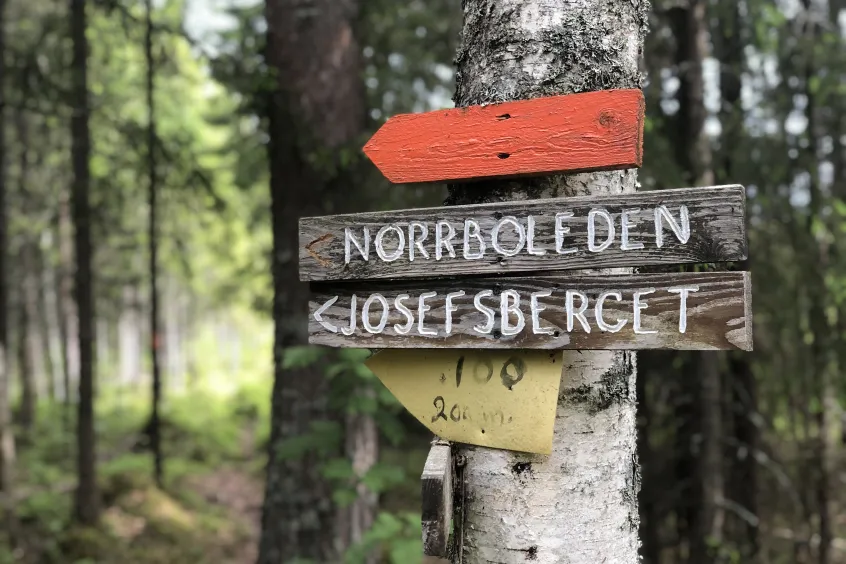 Skyltar i trä för visning av vandringslederna Norrboleden och Borgarleden