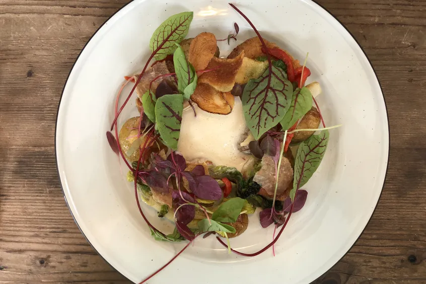 sallad i ring på en tallrik