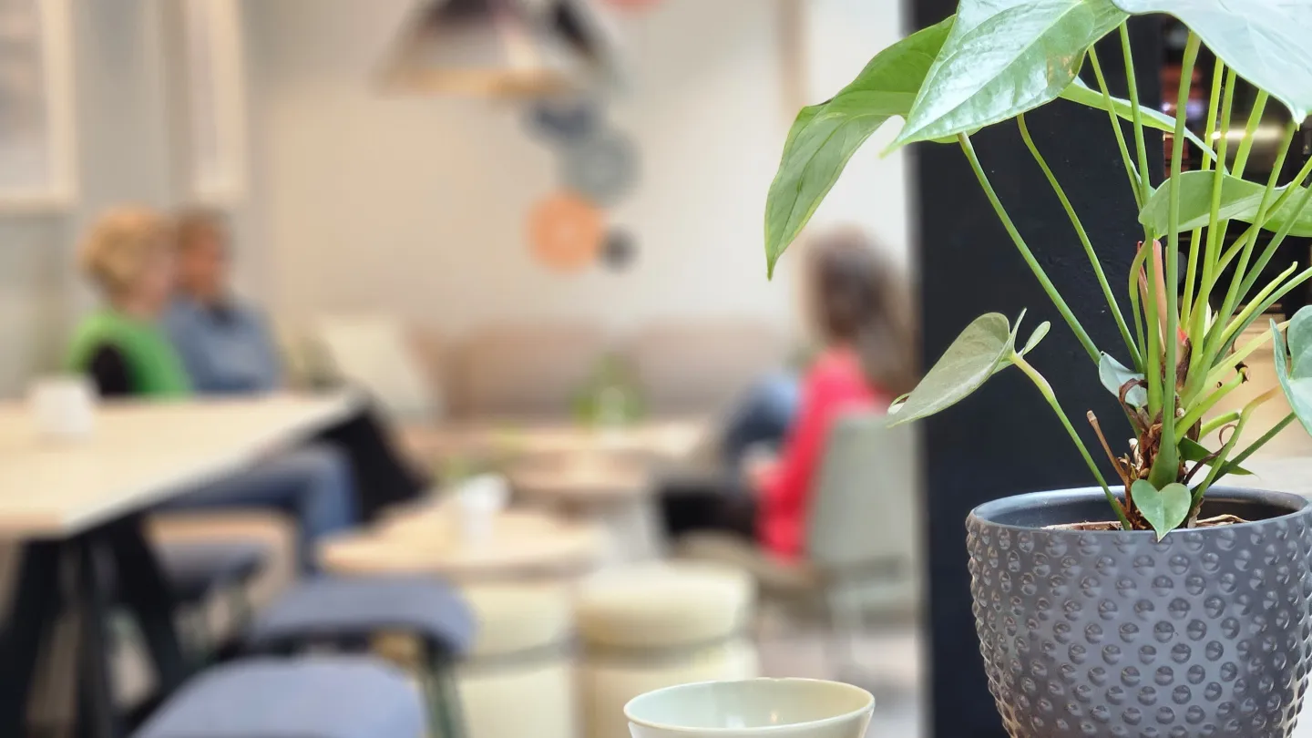 Blomma i förgrunden och suddiga personer som sitter i en soffgrupp