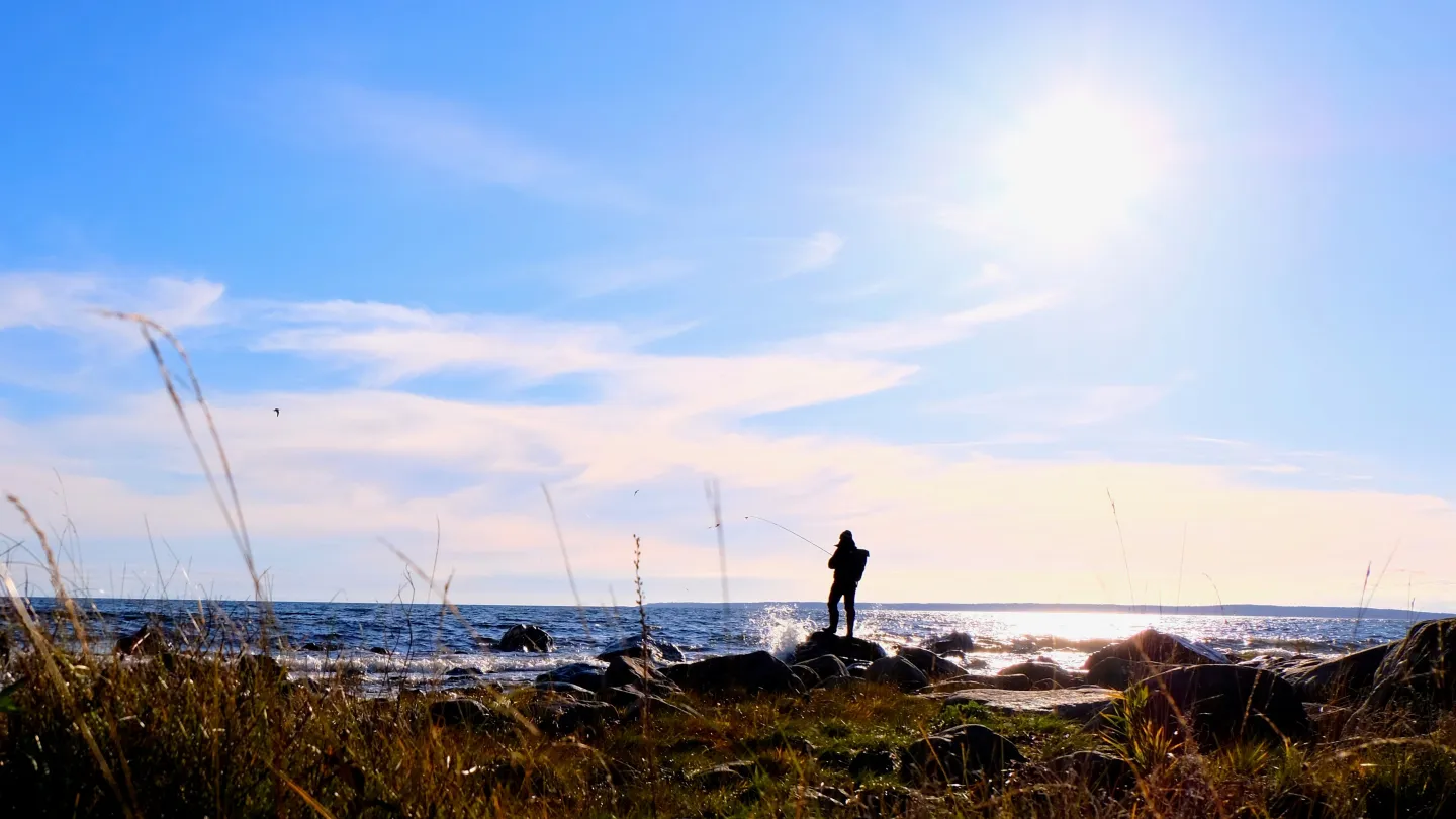 En person som fiskar från strandkanten