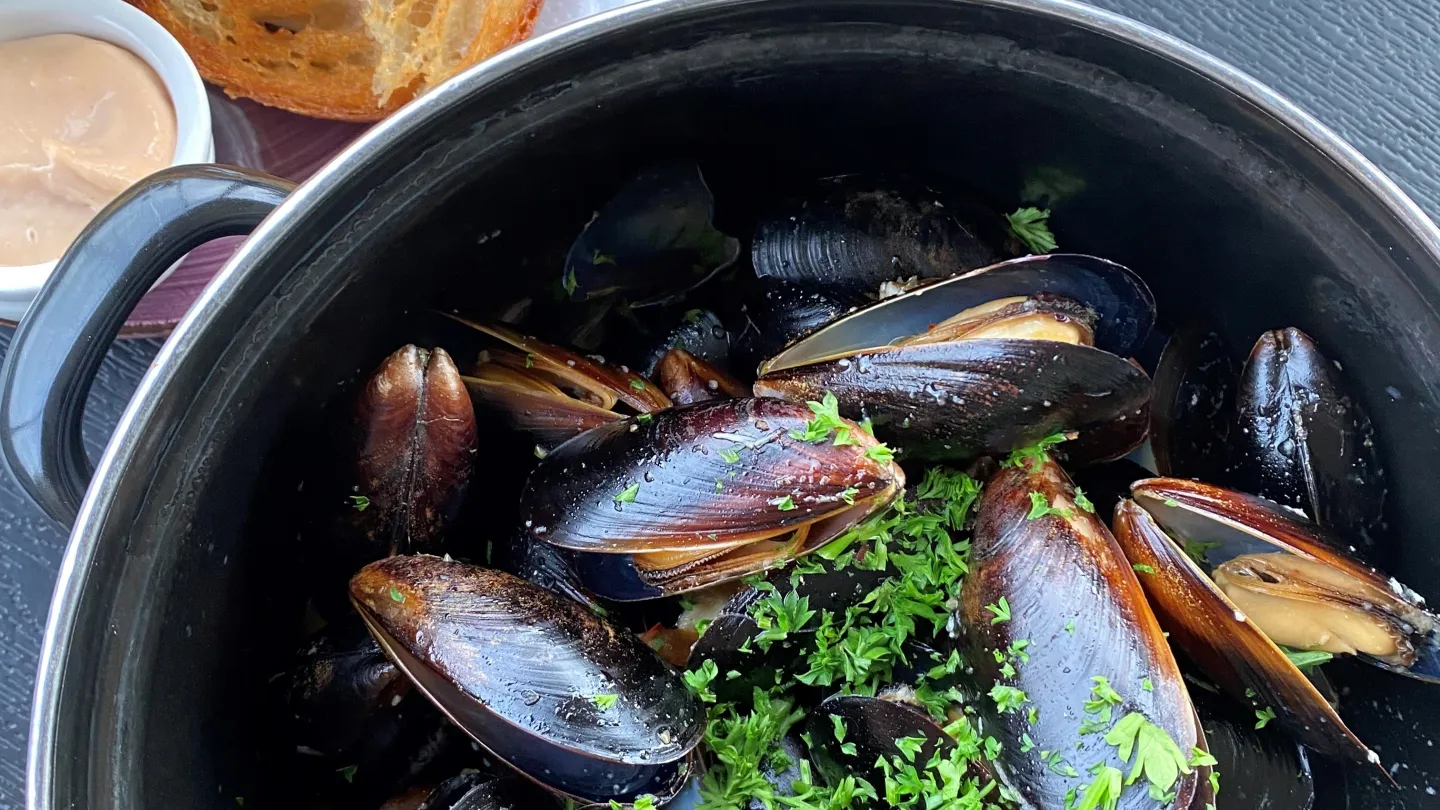 Vinkokta musslor med bröd och pommes