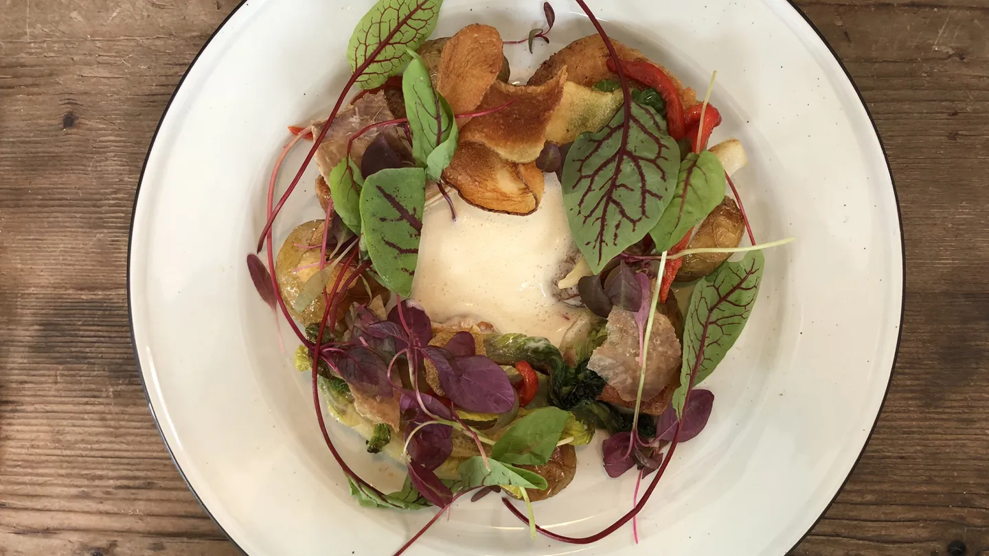 sallad i ring på en tallrik